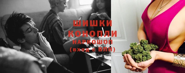 spice Бронницы