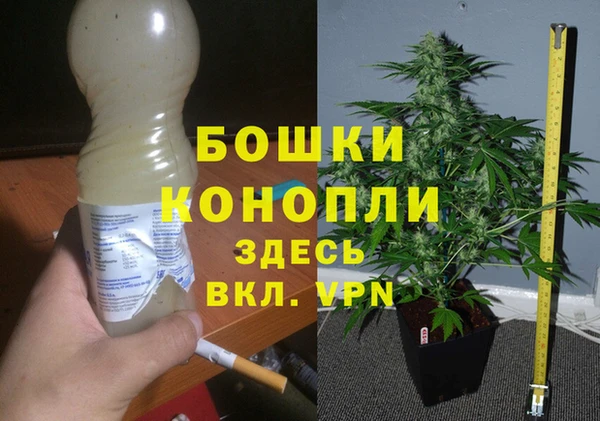 стаф Богородск