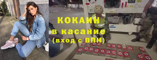 стаф Богородск