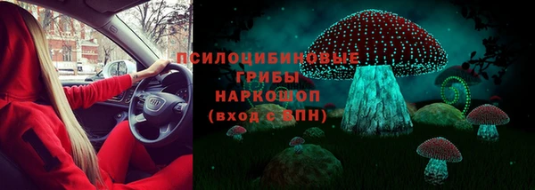 стаф Богородск
