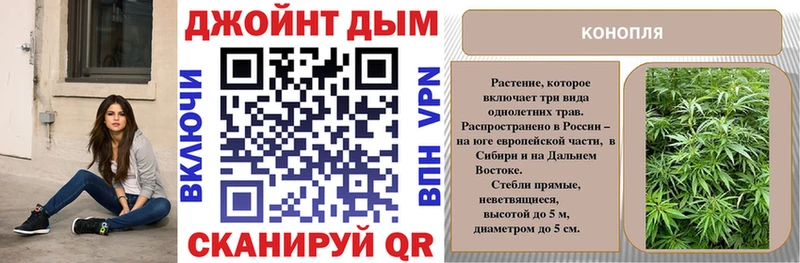 Бошки Шишки план  Карталы 